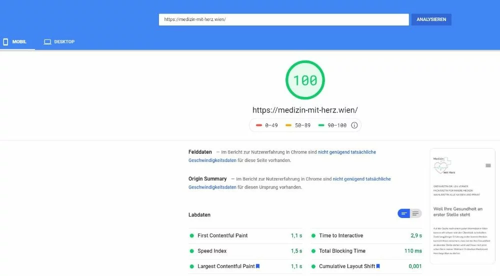 Google Page Speed Desktop